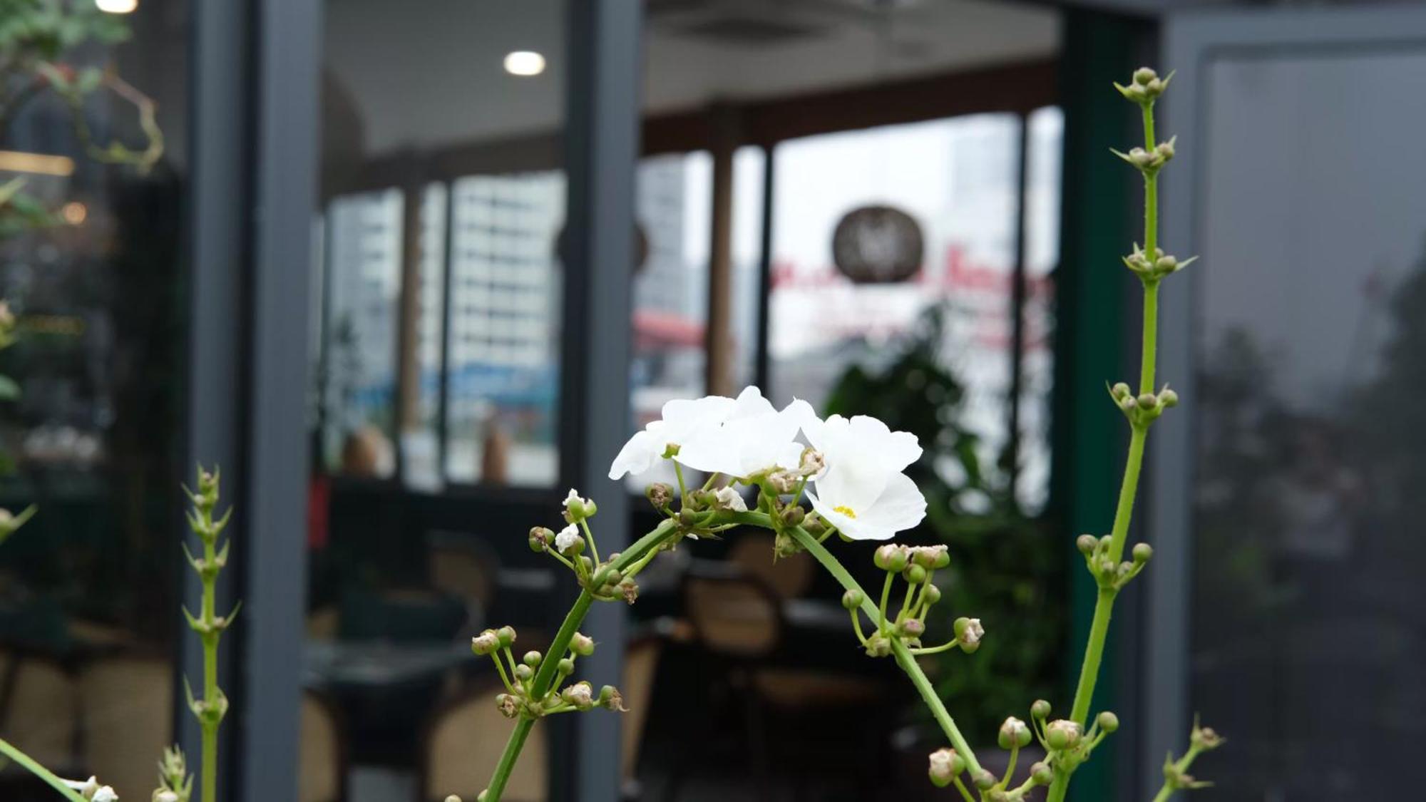 The Bloom Hanoi - Bespoke Living Esterno foto